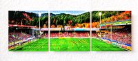 ⚽️ FUßBALL BILDER SC Freiburg Dreisamstadion Trikot Schal SCF Baden-Württemberg - Freiburg im Breisgau Vorschau