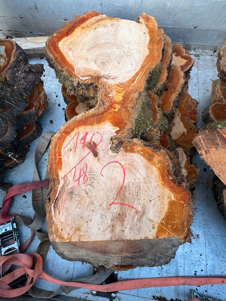 Baumscheiben Riesig Kirschbaum  Tischplatten in Wallenhorst