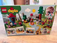 Duplo Tiere der Welt 10907 Nordrhein-Westfalen - Lippstadt Vorschau