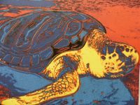 Andy Warhol "3D Turtle" Lithografie 50 x 35 cm limit. GERAHMT! Nordrhein-Westfalen - Gronau (Westfalen) Vorschau