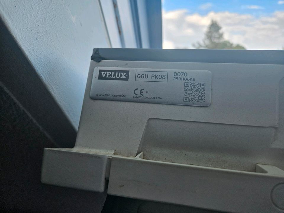 Velux Rollo in Taura