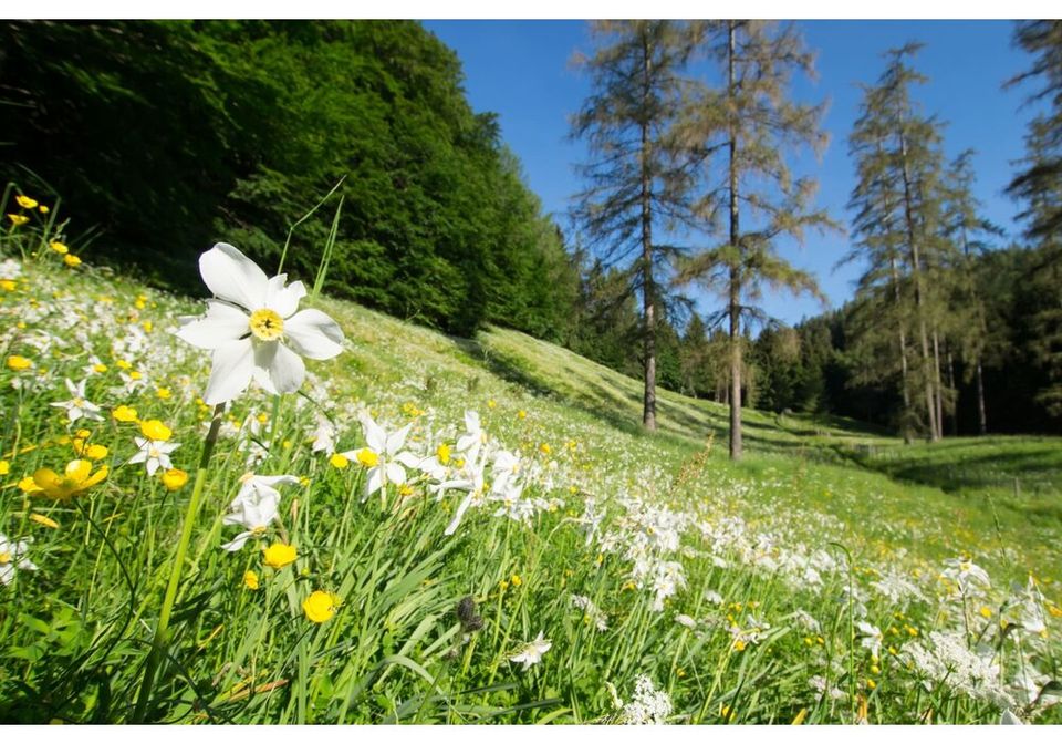 Urlaub auf dem Bauernhof mit Halbpension, herrliche Seen in Herford