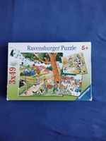 Ravensburger puzzle 5 Jahre 3x49 Teile Hessen - Bad Vilbel Vorschau