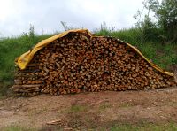 Meter-Holz,Brennholz,Scheidholz, Kaminholz Bayern - Burgpreppach Vorschau