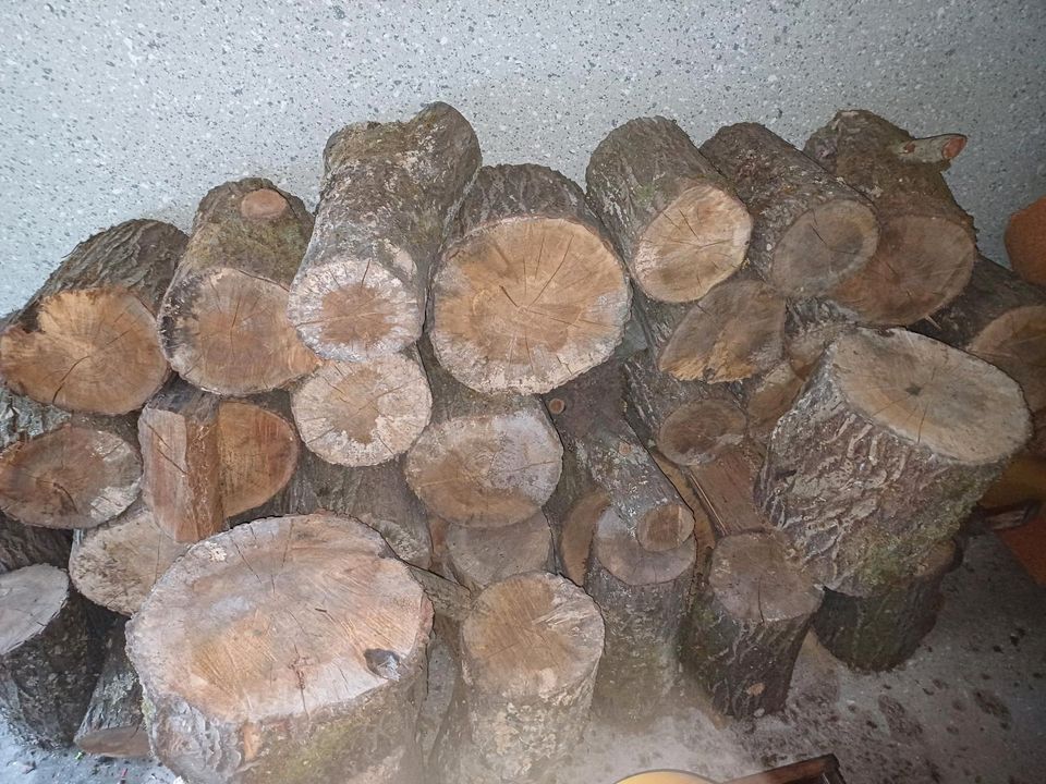 Brennholz zu verkaufen in Ottweiler