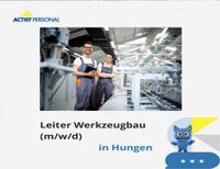 Leiter Werkzeugbau (m/w/d) in Hungen Hessen - Hungen Vorschau