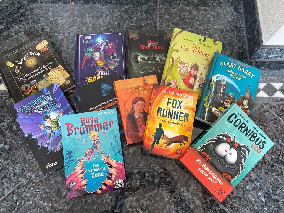 Bücherpaket 11 teilig Boys Book, das böse Buch,… in Feldkirchen Niederbay