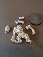 Warhammer Fantasy Moorbestie Rheinland-Pfalz - Kirn Vorschau