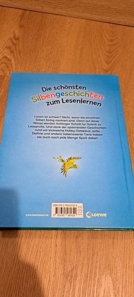 LESELÖWEN; Die schönsten Silbengeschichten zum Lesenlernen in Iserlohn