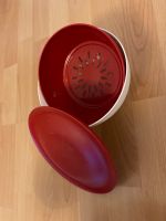 Tupperware Allegra mit Sieb in rot/weiß Dresden - Blasewitz Vorschau