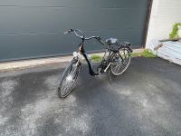 E- Bike/ Prophete Alloy Premium Line Rheinland-Pfalz - Westerburg Vorschau