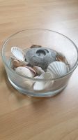 Großes Deko Glas mit Muscheln Hessen - Melsungen Vorschau