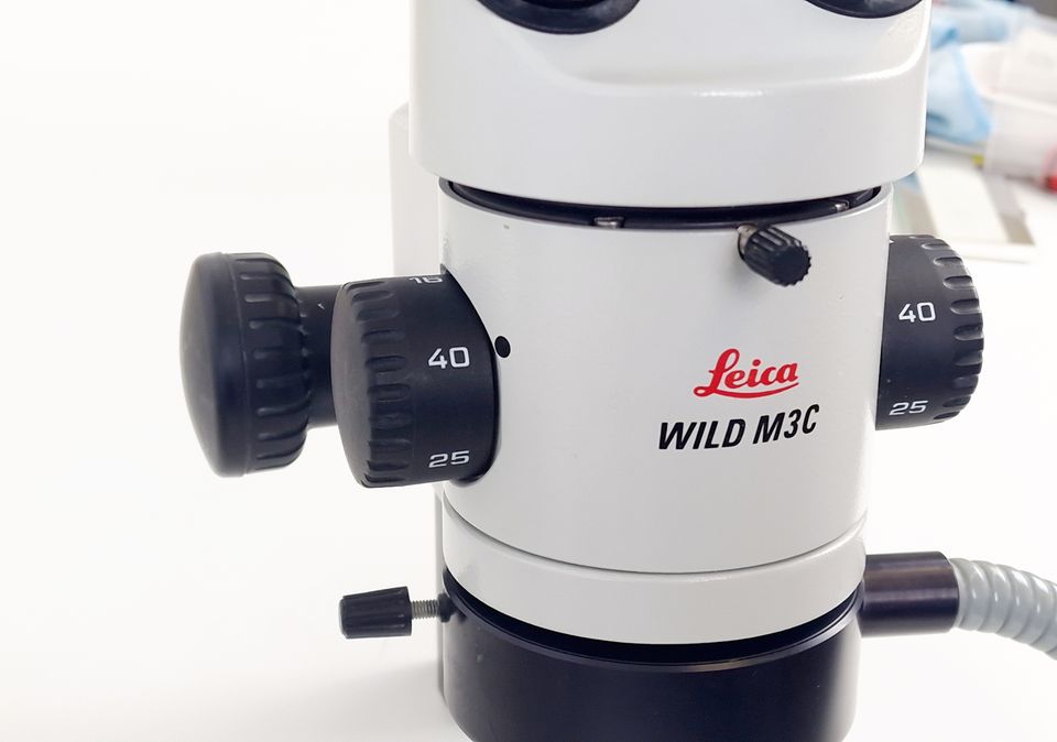 Leica Wild M3C Stereo Mikroskop Licht Stereo Microscope Zoom Wand in Paderborn