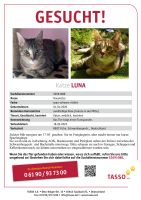 Katze Luna wird vermisst Baden-Württemberg - Ulm Vorschau