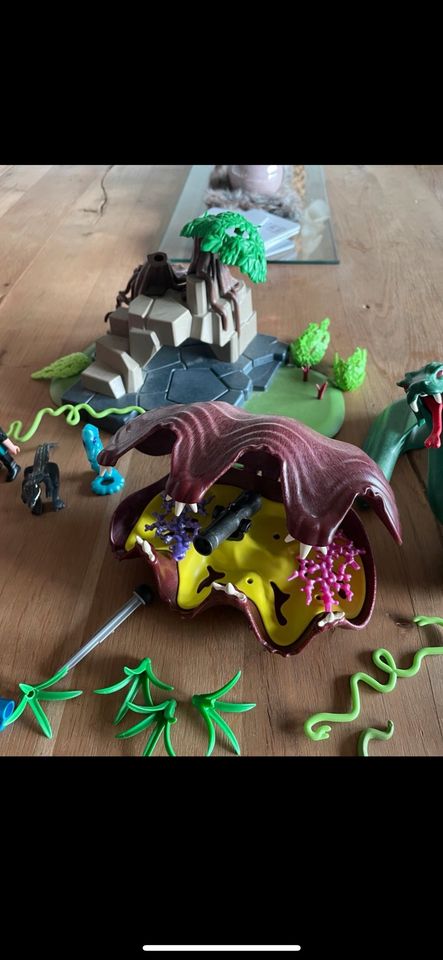 Playmobil Drachen Auflösung Reste unsere Sammlung in Haiger