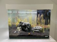 Dennerle Nano Tank Scaper’s Tank 55 l - JBL Innenfilter, Zubehör Nordrhein-Westfalen - Netphen Vorschau