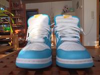 Nike Dunk Hi, blau weiss, Gr. 42.5, in gepflegten Zustand Bayern - Lenggries Vorschau
