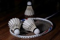 Badminton spielen im Sport Verein Gehrden: Mitspieler gesucht Niedersachsen - Gehrden Vorschau