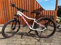 Fahrrad Ghost Lanao weiß - Körpergröße 155-170cm Hessen - Willingshausen Vorschau