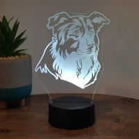 LED Lampe Hund (auch mit Wunschnamen) Schleswig-Holstein - Schülp bei Rendsburg Vorschau