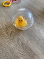 Babyspielzeug schwimmende Ente Fischer Price Niedersachsen - Landolfshausen Vorschau