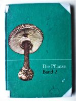 DIE PFLANZE - SCHULBUCH – BAND 2 – 1966 – 2. Auflage – Bayern - Adlkofen Vorschau