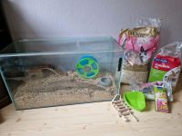 Terrarium mit Zubehör für Hamster Brandenburg - Premnitz Vorschau