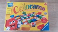 Spiel Colorama Kennst du die Farben und Formen? Nordrhein-Westfalen - Rheda-Wiedenbrück Vorschau