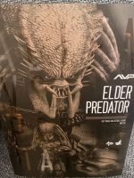 Hot toys AVP Elder Predator Berlin - Neukölln Vorschau