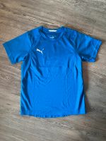 Puma Liga Drycell Kinder T-Shirt / Gr. 128 Brandenburg - Königs Wusterhausen Vorschau