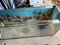 Aquarium / Terrarium 120 x 40 x 50 cm Bayern - Haundorf Vorschau