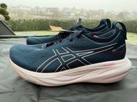Asics Gel Nimbus 25 Neu Gr. 39 + 39,5 Laufschuh Damen Rheinland-Pfalz - Wittgert Vorschau