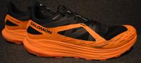 Salomon ULTRA FLOW Laufschuhe Trailrunning Gore-Tex Größe 47 1/3 Gröpelingen - Gröpelingen Vorschau