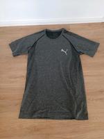Puma T-Shirt Gr.M Herren Grau Fitness Sport Freizeit Shirt Männer Bayern - Neu Ulm Vorschau
