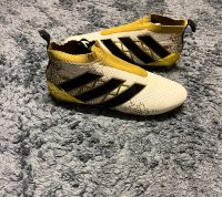 Adidas ace predator 16+ Pogba Edition Hessen - Bruchköbel Vorschau