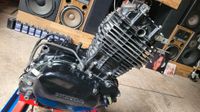 Motor Engine Honda XL 500 R Typ PD02 inkl. Montageständer Rheinland-Pfalz - Callbach Vorschau