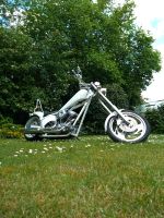 American Ironhorse Perlmutt weiss Texas Chopper Highnecker Wandsbek - Hamburg Hummelsbüttel  Vorschau