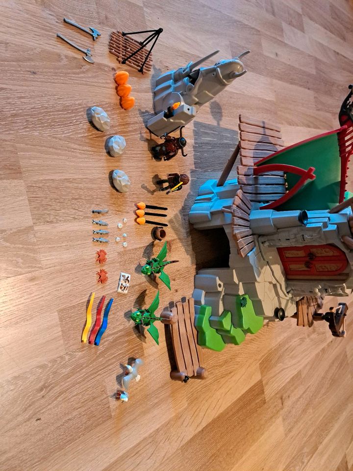 Playmobil  Dreamworks Dragons Berk in Olsberg