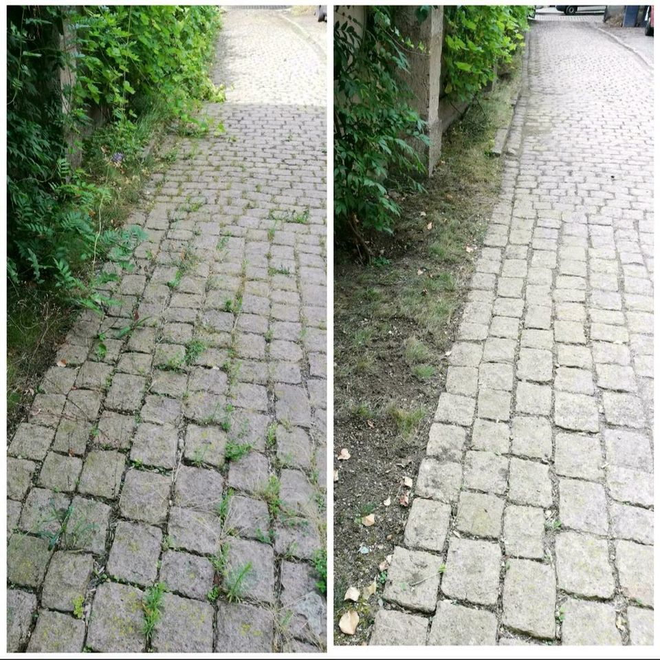 Buchen Sie sich Ihre Gartenpflege im Abo  Hecke Rasen in Halle