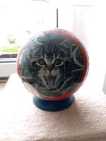 Puzzleball - Katze, Meer und Weltkugel Nürnberg (Mittelfr) - Oststadt Vorschau