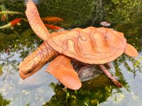 Schildkröte 60cm Meeresschildkröte Wasserschildkröte Holz Essen - Essen-Werden Vorschau