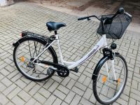 Damenfahrrad Fahrrad 28 Tiefer Einstieg Sachsen-Anhalt - Salzatal Vorschau