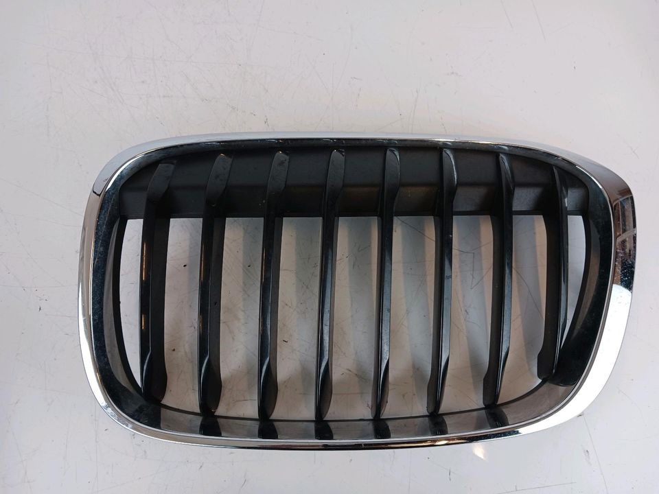 BMW X1 F48 Kühlergrill Rechts 7383363 Links 7383364 Niere Grill in Niederkassel