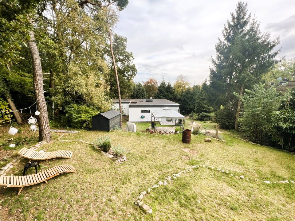 Umfassend modernisierter Bungalow und zusätzliche Bebauungsmöglichkeit in toller, grüner Lage! in Buchholz in der Nordheide