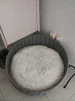 Tolles Kuschelbett für Katzen oder kleinere Hunde Nordrhein-Westfalen - Hürth Vorschau