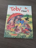 Tobi Fibel 1 Bad Godesberg - Lannesdorf Vorschau