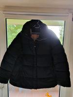Damen Steppjacke Tchibo Neu Schleswig-Holstein - Ascheberg Vorschau