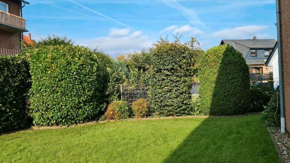 Heckenschnitt, Gartenpflege, Dachrinnenreinigung in Bielefeld