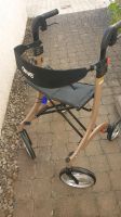 Versand 10,95€  Rollator NITRO ☆ Drive Gr. L ☆ Champagner Baden-Württemberg - Tübingen Vorschau