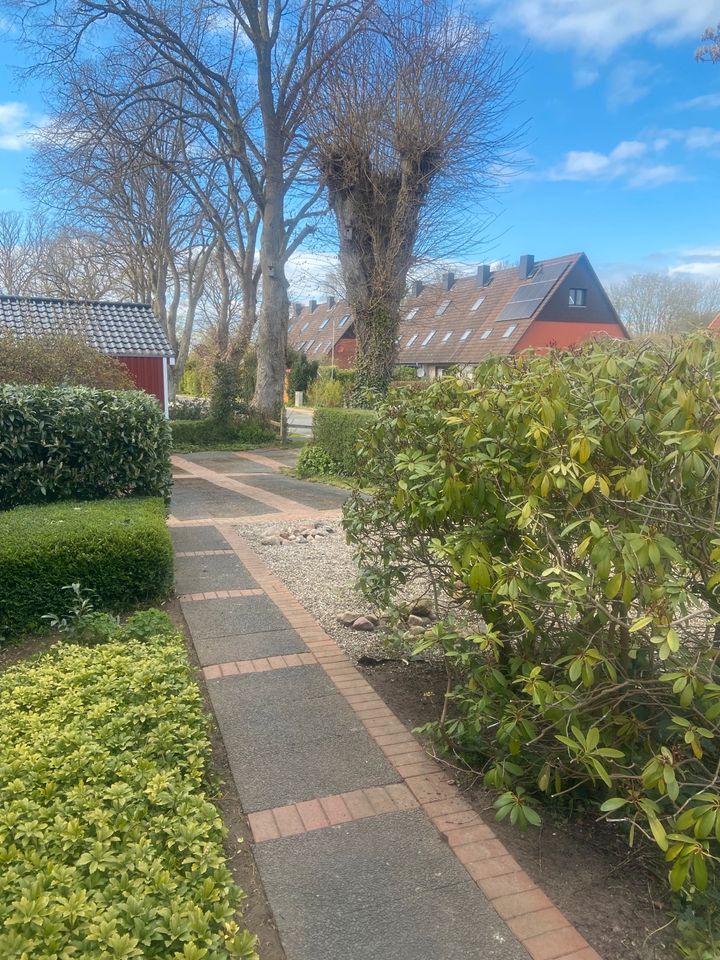 Gartenarbeit, Heckenschnitt, Rasen mähen, Gartenpflege ✅✅✅ in Kiel